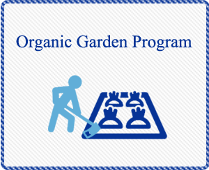 Organic Garden Program